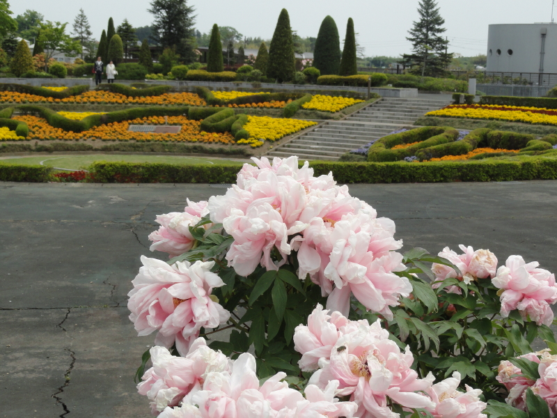 img0064.jpg