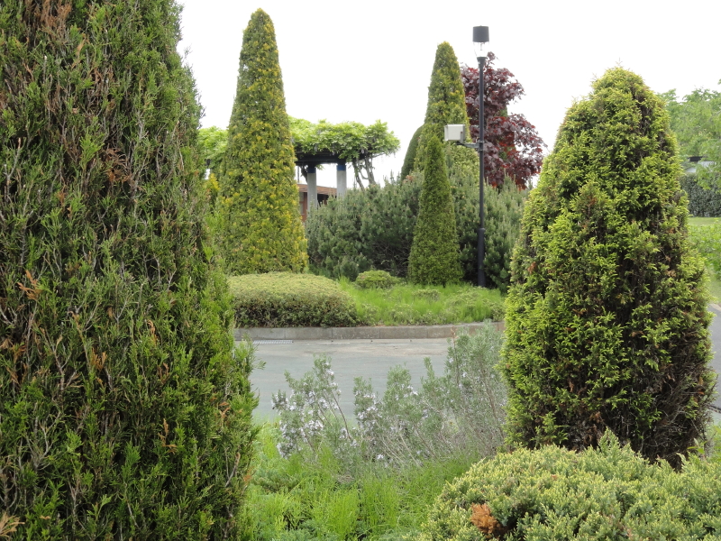 img0067.jpg