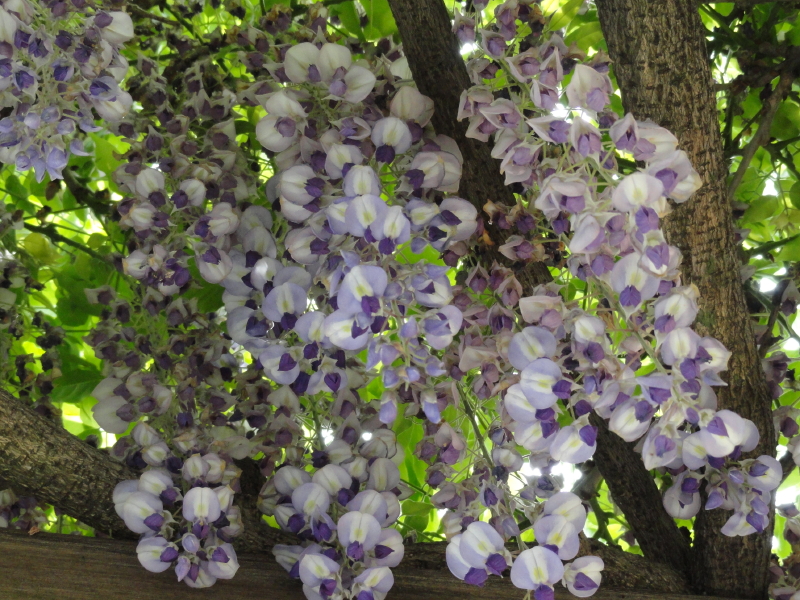 img0071.jpg