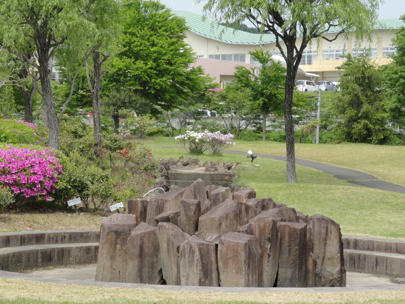 img0085.jpg