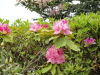 img0008.jpg