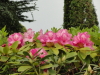 img0009.jpg