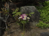 img0013.jpg