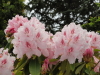 img0020.jpg
