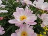 img0028.jpg