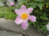 img0029.jpg