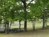 img0040.jpg
