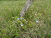 img0042.jpg