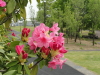 img0045.jpg