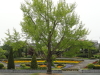 img0049.jpg