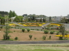 img0053.jpg
