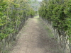 img0055.jpg