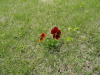img0058.jpg