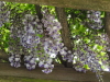 img0070.jpg