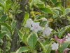 img0074.jpg