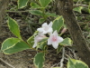 img0075.jpg