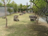 img0084.jpg