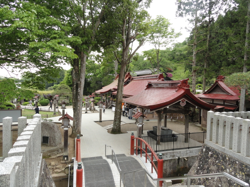 img0006.jpg