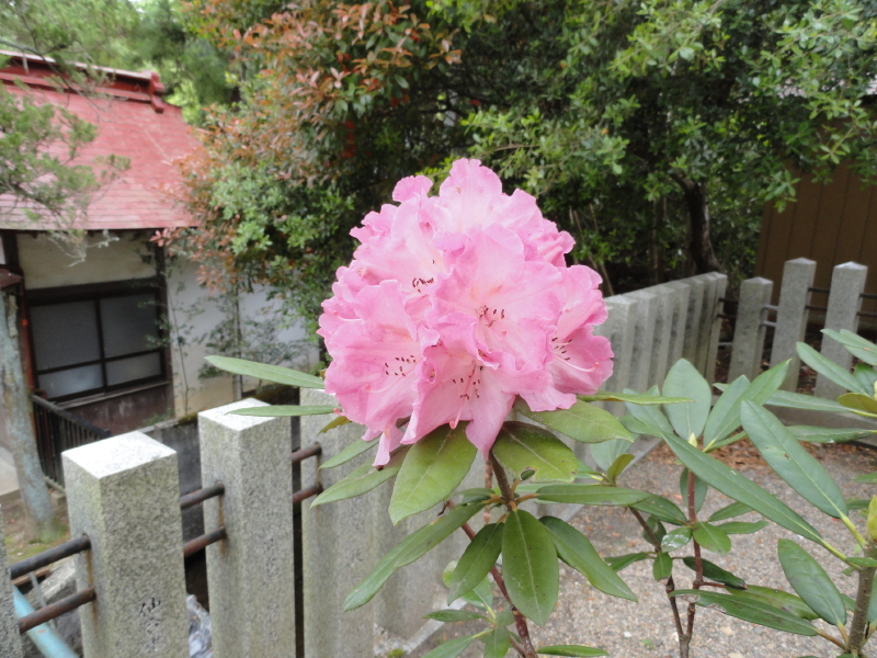 img0016.jpg
