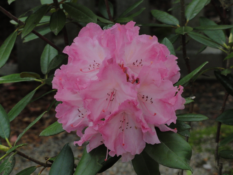 img0019.jpg
