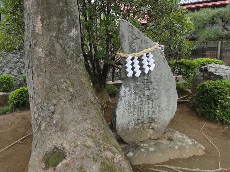 img0022.jpg