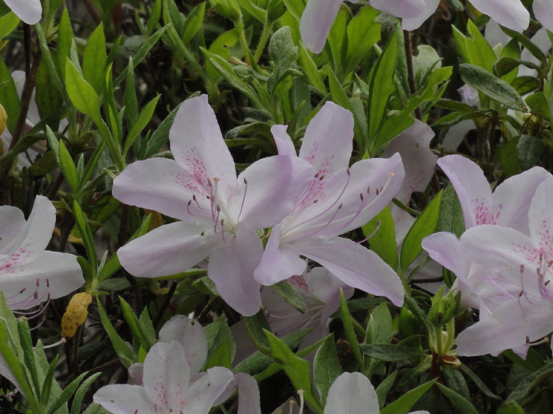img0027.jpg