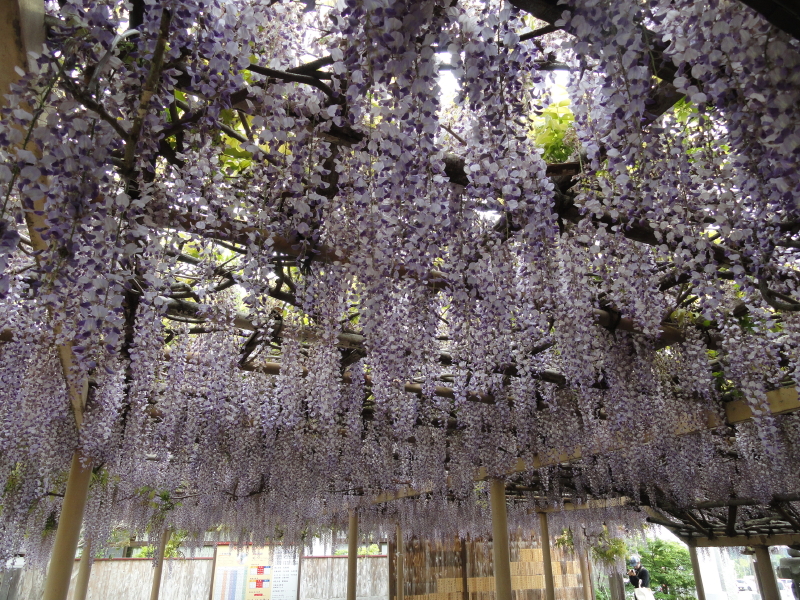 img0032.jpg
