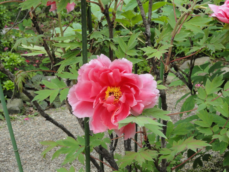 img0035.jpg
