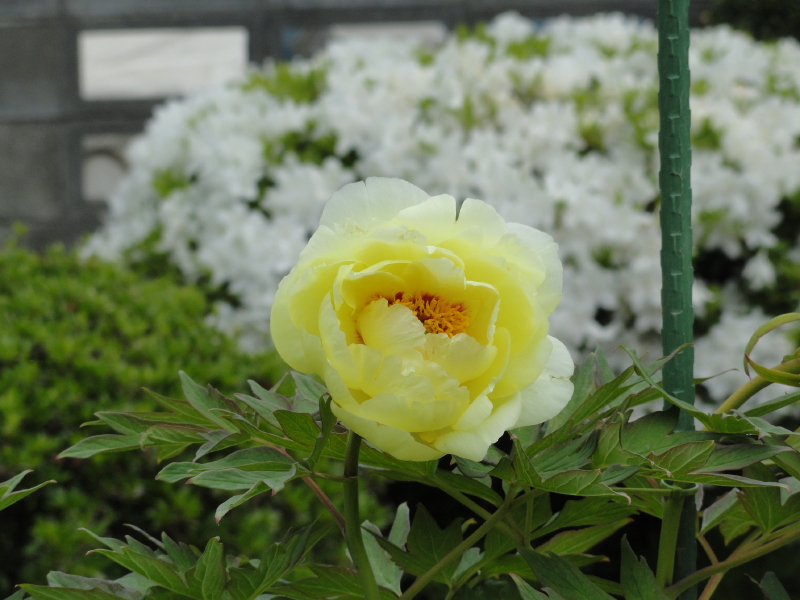 img0069.jpg