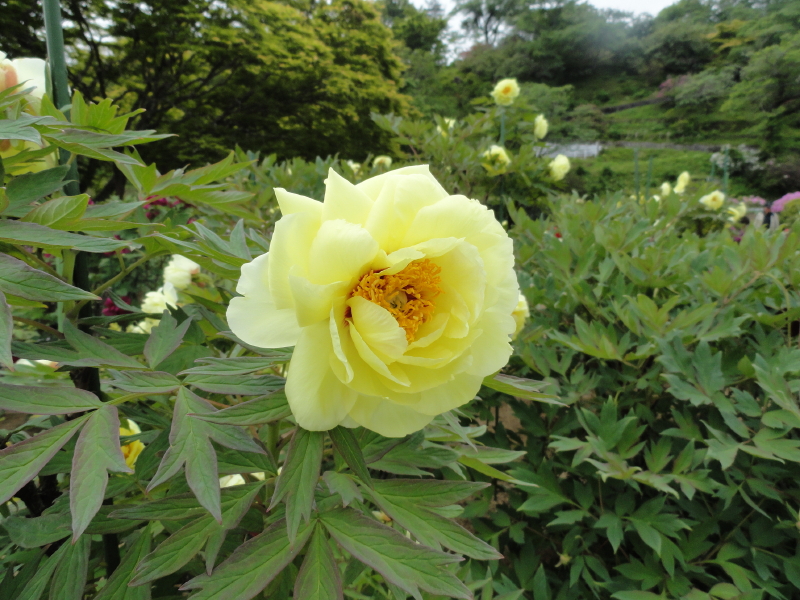 img0072.jpg