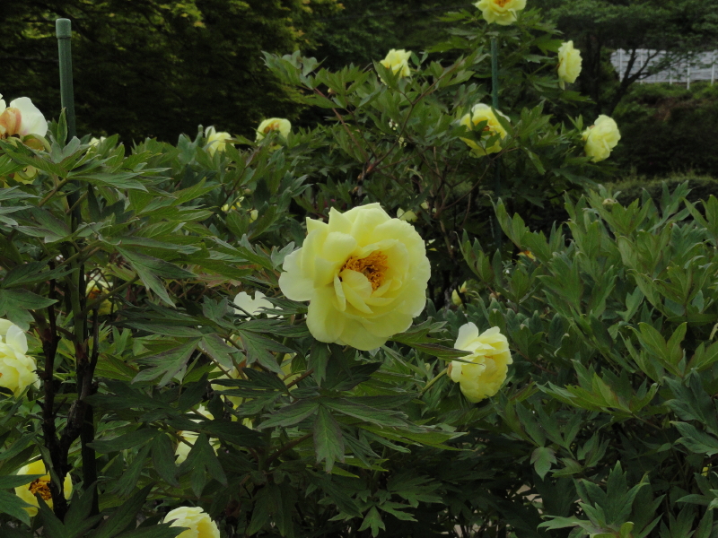 img0073.jpg