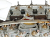 img0013.jpg