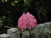 img0018.jpg