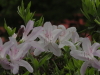 img0026.jpg