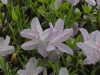 img0027.jpg