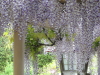 img0028.jpg