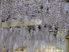img0029.jpg