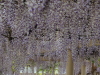 img0030.jpg
