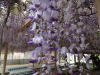 img0031.jpg