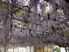 img0032.jpg