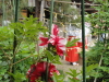 img0037.jpg