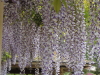 img0038.jpg