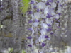 img0039.jpg