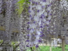 img0041.jpg