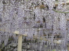 img0042.jpg