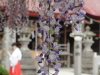 img0043.jpg