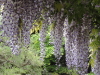 img0044.jpg