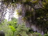 img0046.jpg