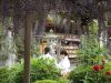 img0047.jpg