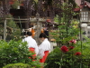 img0049.jpg